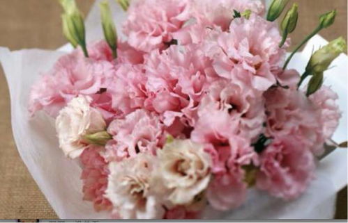教师节礼物篇 鲜花满园，园丁心坎秋意暖