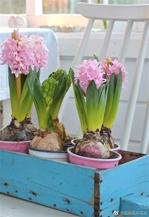 【品尚花卉】#鲜花预定#花艺礼品#花艺定制
